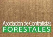 Contratistas de ACOFORAG exigen al INDH mismo trato a trabajadores forestales