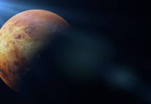 Astrónomos aseguran que descubrieron indicios de vida en Venus