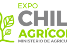Podcast de CAMPO AL DÍA: «Expo Chile Agrícola» este año 100% virtual espera participación de 30 mil participantes