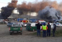Nuevo ataque incendiario deja 15 camiones quemados en La Araucanía