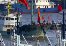 Alerta por presencia de más de 300 barcos pesqueros chinos cerca de las costas chilenas
