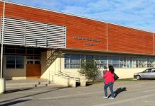 Cesfam Alerce despliega programa de salud mental para menores afectados por confinamiento domiciliario