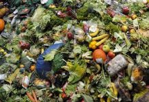 Argentina desperdicia en alimentos por año más del 10% de los granos que produce