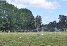 Riego en praderas: Consorcio Lechero presenta fichas técnicas.