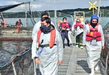 Sernapesca verifica presencia de virus ISA en la región de Los Lagos