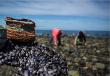 Sernapesca realizó taller de la Mesa Regional de la Mujer Pescadora Artesanal