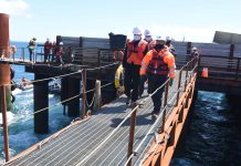 MOP confirma continuidad de construcción de la Megaobra del Puente sobre el Canal de Chacao