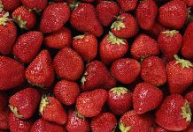 SAG comienza inscripción y activación en el Sistema de registro de frambuesas temporada 2020-2021