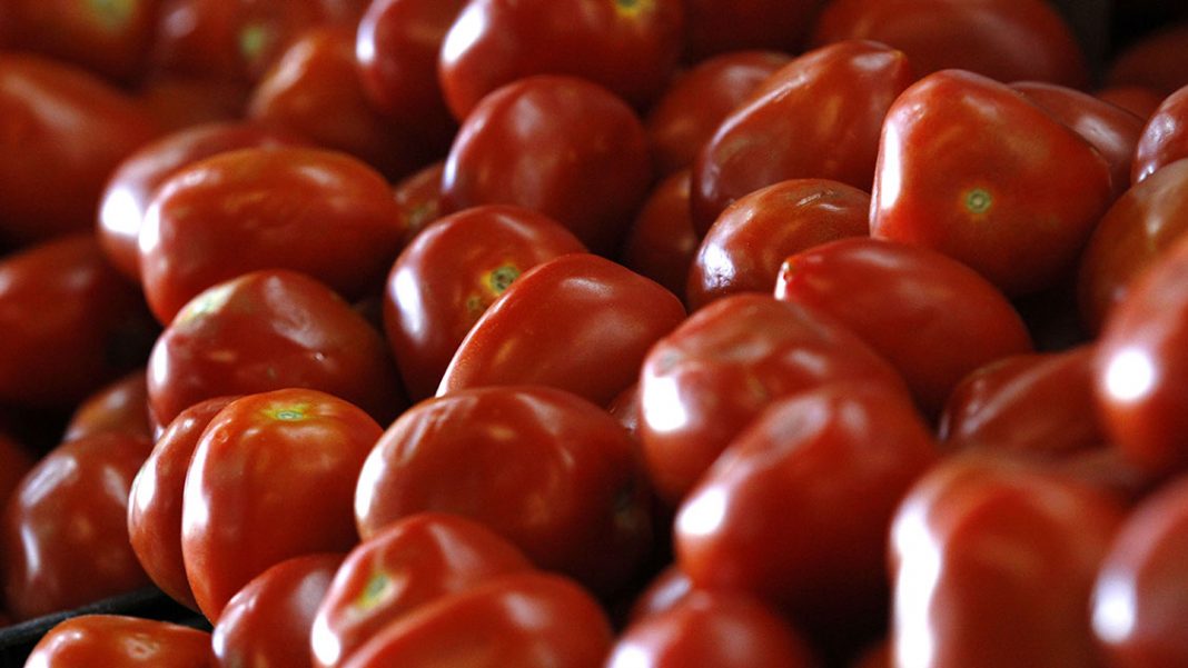 Precios de frutas y verduras en La Vega Central, Previo al IPC que publica el  INE