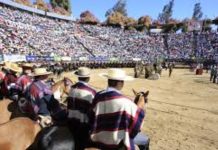 Se definió retorno del Rodeo a las medialunas tras reunión con el Ministerio del Deporte