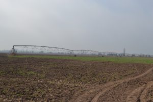 Federico Errázuriz y la importancia de mejorar la gestión del agua: “pasó a ser el recurso más valioso para la producción agrícola”