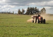 SAG Los Lagos abre postulaciones a los concursos de operación temprana del programa de recuperación de suelos degradados 2021