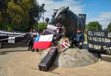Comercio de luto en Osorno: Gremios locales protestaron exigiendo levantar la cuarentena