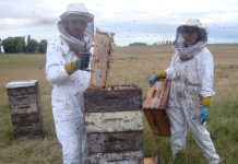 Fortalecen trabajo de apicultores en la comuna de Futaleufú
