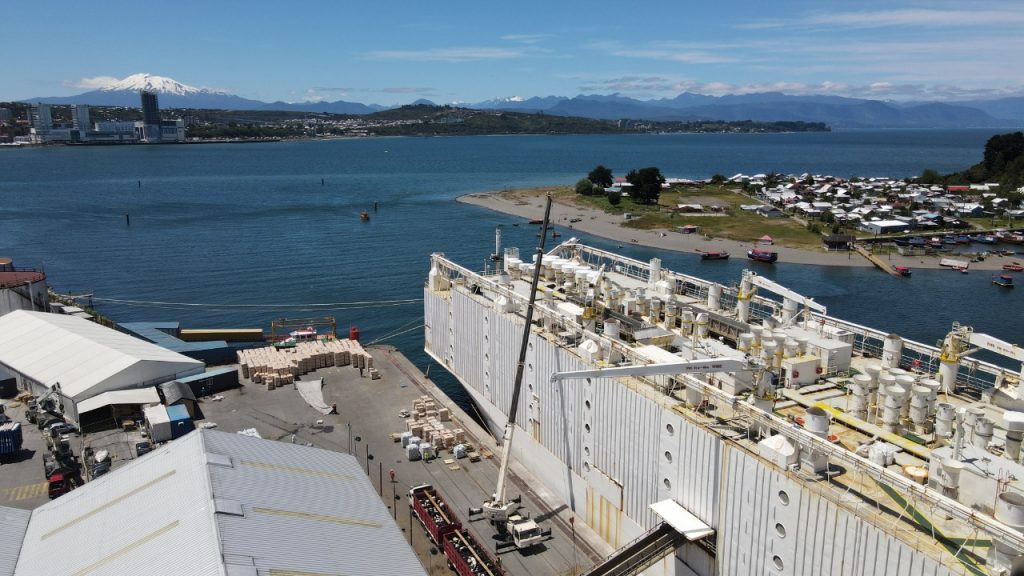 Despachan el mayor embarque de ganado vivo a China realizado desde nuestro país