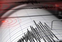 SHOA descarta tsunami en las costas de Chile tras temblor en el sur