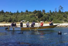 Gobierno abrió fondos concursable para apoyar áreas de manejo de pescadores artesanales