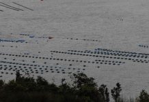 200 nuevas áreas de manejo fueron autorizadas para pescadores artesanales