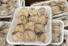 Ancud: descubrieron planta de proceso clandestina de productos del mar