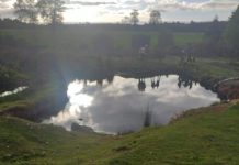 Menor de 4 años murió tras caer a un pozo cerca de su domicilio en Los Muermos