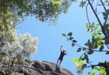 Programa territorial Ruta de los Parques de la Patagonia se consolida en su primer año de implementación