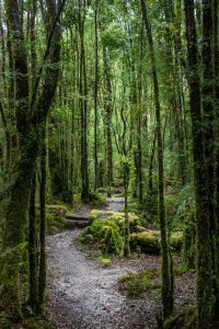 Programa territorial Ruta de los Parques de la Patagonia se consolida en su primer año de implementación