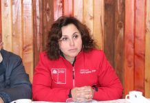 Dos autoridades de gobierno de la región de Los Lagos han renunciado a su cargo