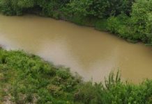 Denuncian un nuevo hecho de contaminación en el Rio Damas