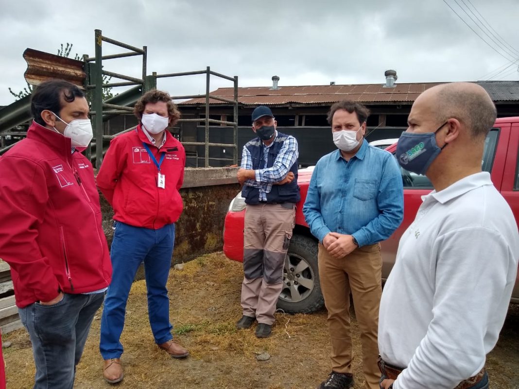 WhatsApp Image 2020-11-11 at 16.29.00