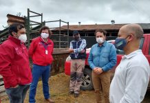 Subsecretario del Trabajo en Osorno informó los protocolos laborales en el rubro agrícola en contexto de pandemia