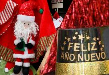 Minsal prepara plan para fiestas de fin de año: Será similar al Fondéate en tu casa