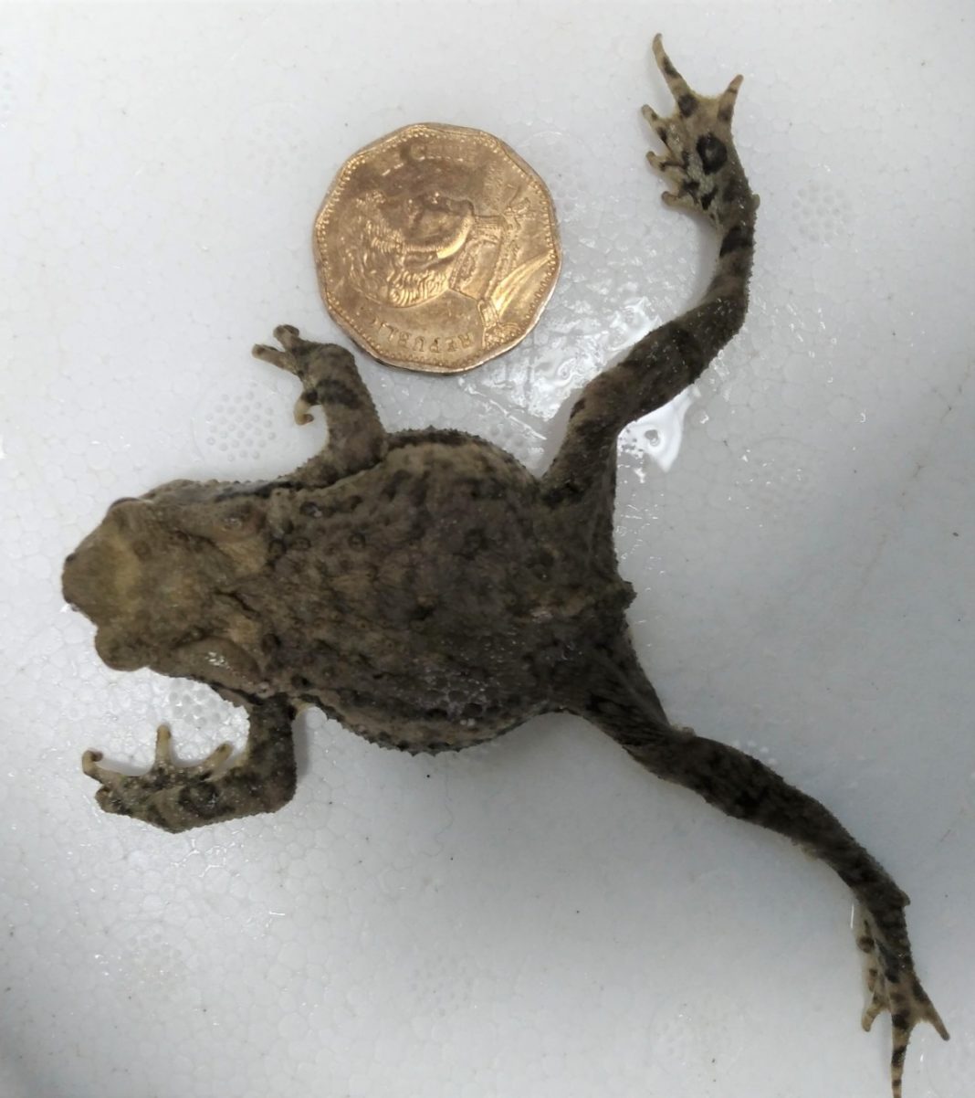 WhatsApp Image 2020-11-23 at 15.16.02 (1)