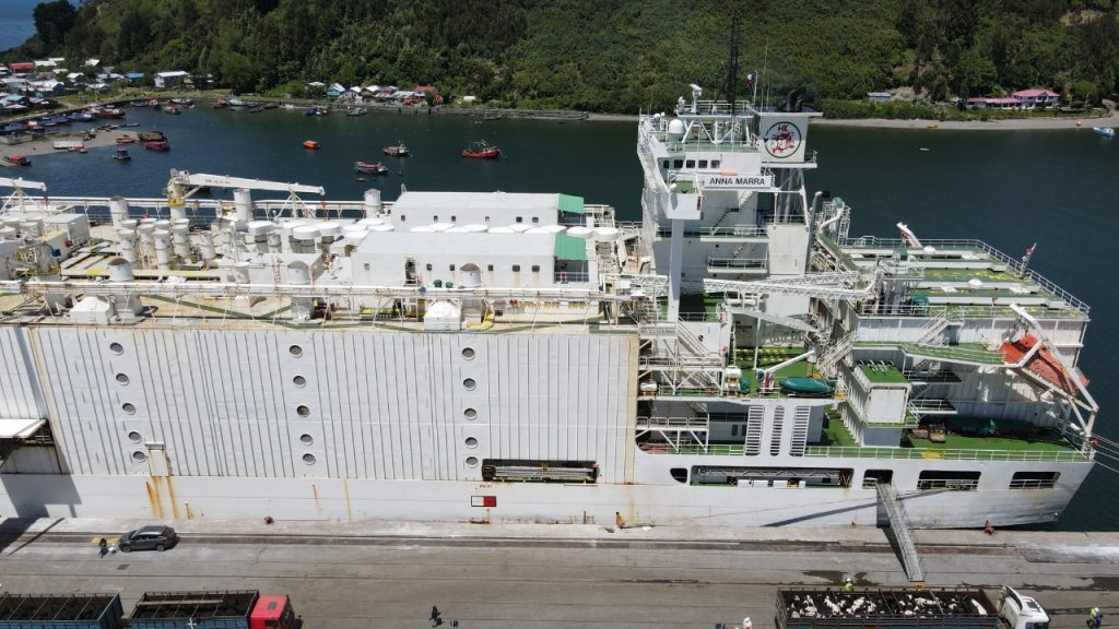 Despachan el mayor embarque de ganado vivo a China realizado desde nuestro país