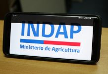 INDAP responde al ataque cibernético: En dos semanas se resolverían los problemas