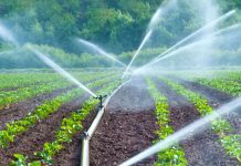 Podcast Campo al día: Sistemas de riego con Agrosystem