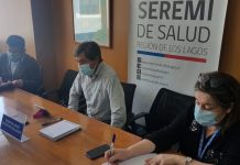 Región de Los Lagos informa 2 fallecidos y 214 casos nuevos de covid-19