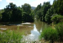 Llaman a la responsabilidad y a no concurrir a playas no aptas para el baño tras muerte de joven ahogada en un río en Fresia