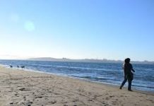 Ancud: la autoridad marítima aclaró la posibilidad de asistencia de bañistas a playas