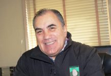 PODCAST DE CAMPO AL DÍA: Las papas y su comportamiento en el mercado nacional e internacional.