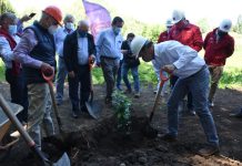 Ministro Felipe Ward visitó Osorno y dio el vamos a las últimas etapas del Parque Alberto Hott