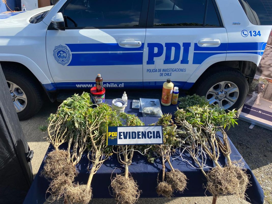 WhatsApp Image 2020-12-22 at 11.34.26