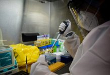 Covid-19: Reportan 331 casos y tres fallecidos en la región de Los Lagos