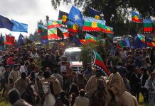 Cámara aprobó 17 escaños para pueblos originarios y rechazó cupo para afrodescendientes