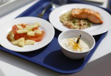 ONU: En Chile la desnutrición crónica infantil se concentra en el norte y el sobrepeso en el sur