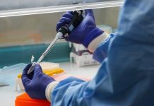 Osorno y Puerto Montt registraron más de 100 casos de coronavirus este jueves