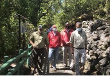 Fortalecen estrategias para recuperación de bosque nativo en las Región de Los Lagos.
