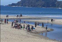 Fin de semana: Realizaron 2400 fiscalizaciones en balnearios de la provincia de Osorno