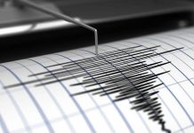 Director de Sismología: «Sismos de la Antártica y el de la zona central no están relacionados»