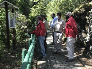 Fortalecen estrategias para recuperación de bosque nativo en las Región de Los Lagos.