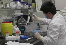 Chile podría fabricar vacunas contra el coronavirus en el sur